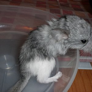 P1010004 [1024x768].JPG