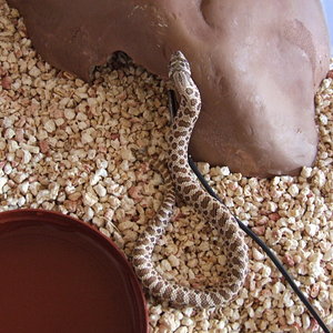 DSCF2407 (FILEminimizer).JPG