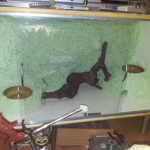 2011-12-06 22.37.39.jpg