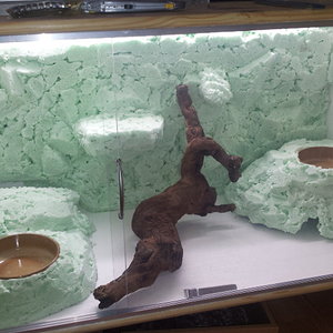 2011-12-06 22.55.05.jpg