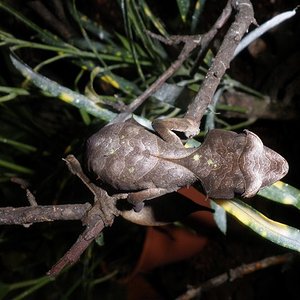 P1010021 (Copiar).JPG