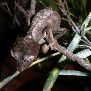 P1010018 (Copiar).JPG