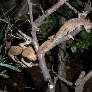 P1010025 (Copiar).JPG