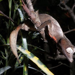 P1010019 (Copiar).JPG