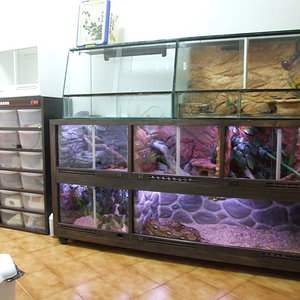 DSCF2435 (FILEminimizer).JPG