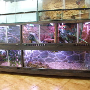 DSCF2437 (FILEminimizer).JPG