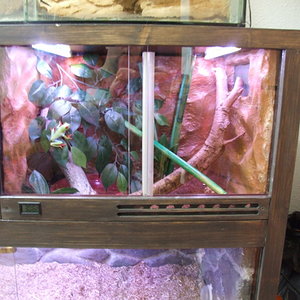 DSCF2440 (FILEminimizer).JPG