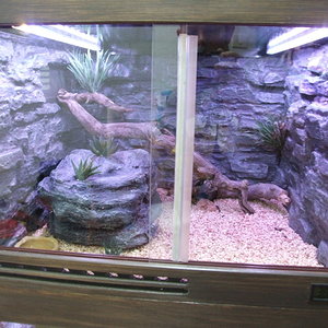 DSCF2442 (FILEminimizer).JPG