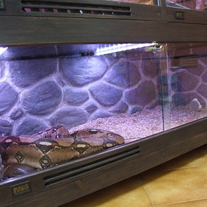 DSCF2444 (FILEminimizer).JPG