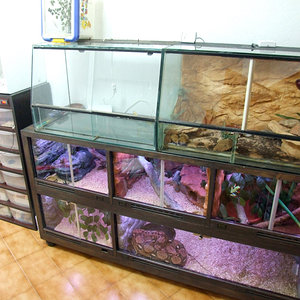 DSCF2445 (FILEminimizer).JPG