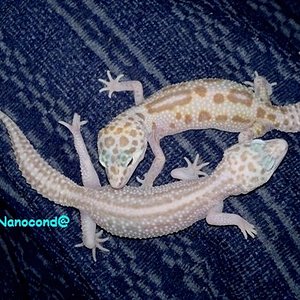 SR&SN_7-11 640x480.jpg