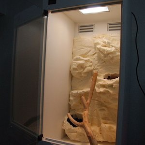 DSCF2509 (FILEminimizer).JPG