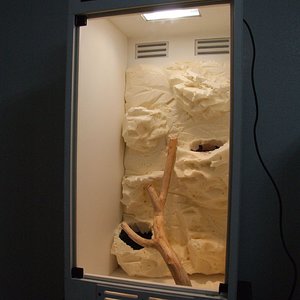 DSCF2510 (FILEminimizer).JPG