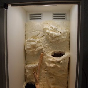 DSCF2511 (FILEminimizer).JPG