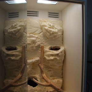 DSCF2508 (FILEminimizer).JPG