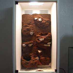 DSCF2519 (FILEminimizer).JPG