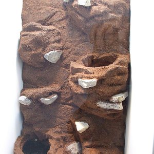 DSCF2520 (FILEminimizer).JPG