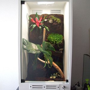 DSCF2522 (FILEminimizer).JPG