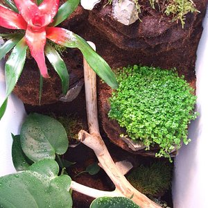 DSCF2523 (FILEminimizer).JPG