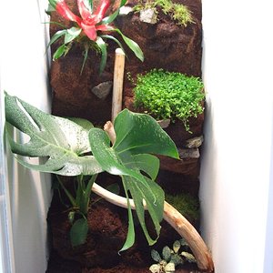 DSCF2525 (FILEminimizer).JPG