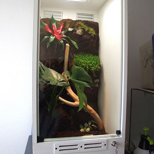 DSCF2527 (FILEminimizer).JPG