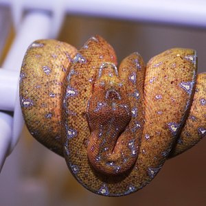 1 siete meses y un dia .JPG