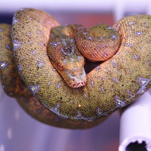 2 siete meses y nueve dias.JPG