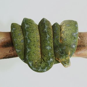 3 siete meses y diecinueve dias .JPG