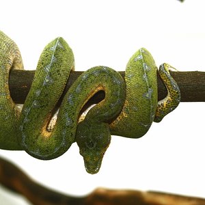 4 siete meses y veintiseis dias .JPG