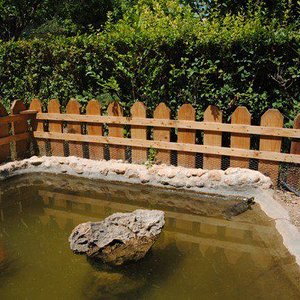 405597_121513374633777_100003253466725_104540_1965690638_n (1).jpg