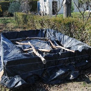 402400_121514217967026_100003253466725_104551_1049004659_n (1).jpg