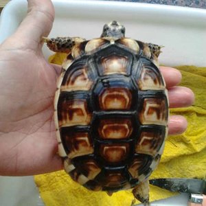 2012-02-11 15.43.10 [1024x768].jpg