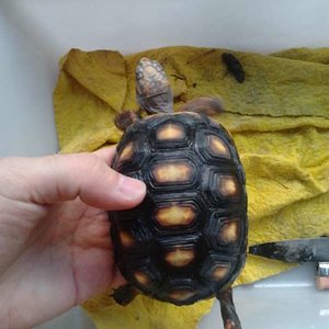 2012-02-11 15.44.29 [1024x768].jpg