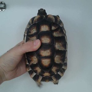 2012-02-11 15.45.14 [1024x768].jpg