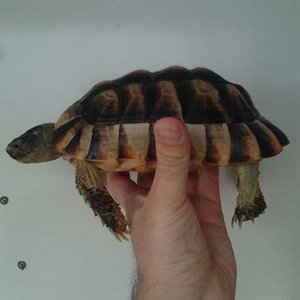 2012-02-11 15.45.27 [1024x768].jpg