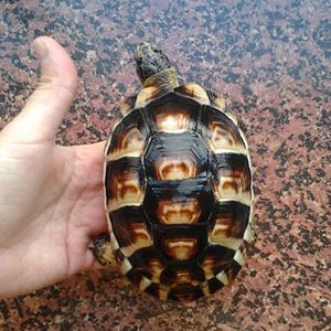 2012-02-11 15.47.16 [1024x768].jpg