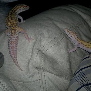 SnRd St x SnRd J_1.jpg