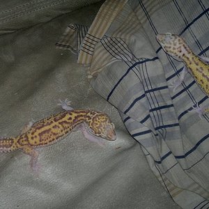 SnRd St x SnRd J_2.jpg