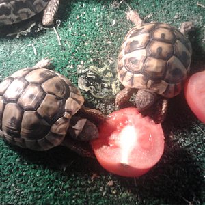 2012-02-14 14.05.25.jpg