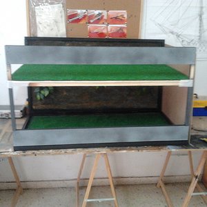 2012-02-26 13.04.49.jpg