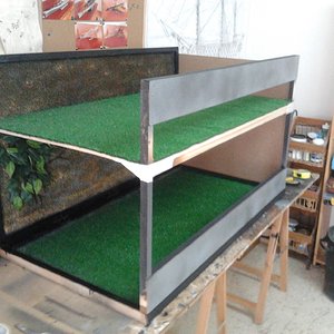 2012-02-26 13.05.00.jpg