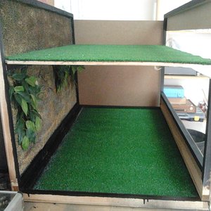 2012-02-26 13.05.27.jpg