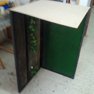 2012-02-27 12.17.02.jpg