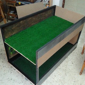 2012-02-27 12.23.55.jpg