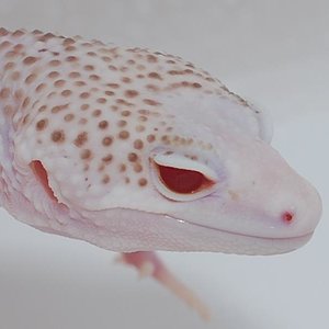 super mack snow radar Mateusz Hajdas.jpg