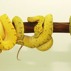 IMG_7729 [1600x1200].JPG