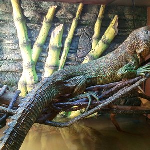 2012-03-27 19.12.42.jpg