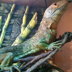 2012-03-27 19.12.20.jpg