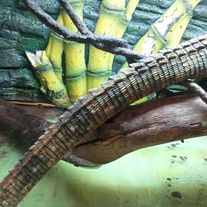 2012-04-08 14.41.32.jpg