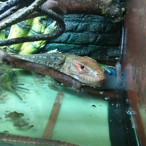 2012-04-08 14.41.51.jpg